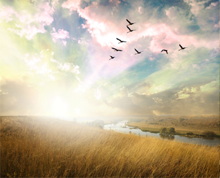 shutterstock_370604243_small